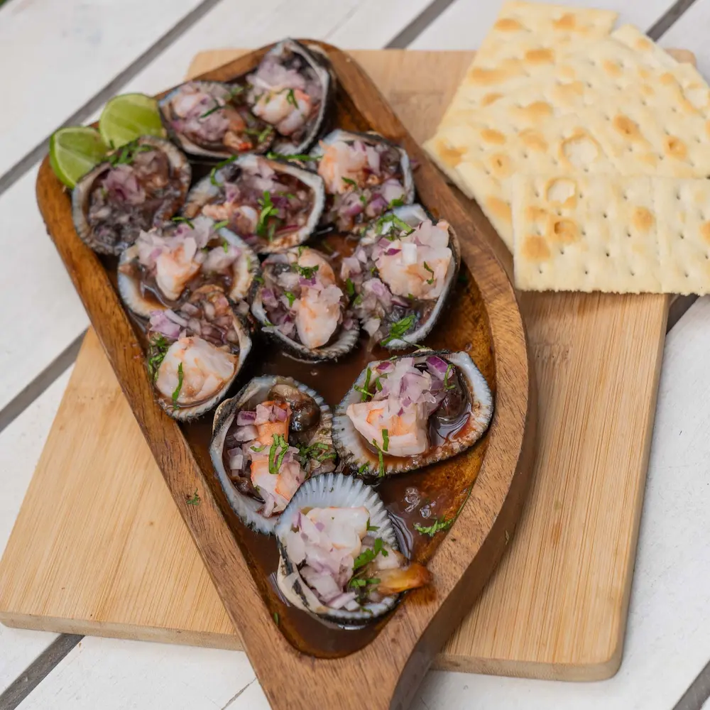 Conchitas Preparadas